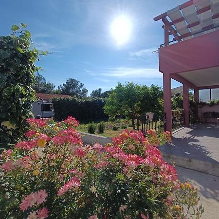 Appartement Apartman Brigita à Biograd Na Moru Extérieur photo
