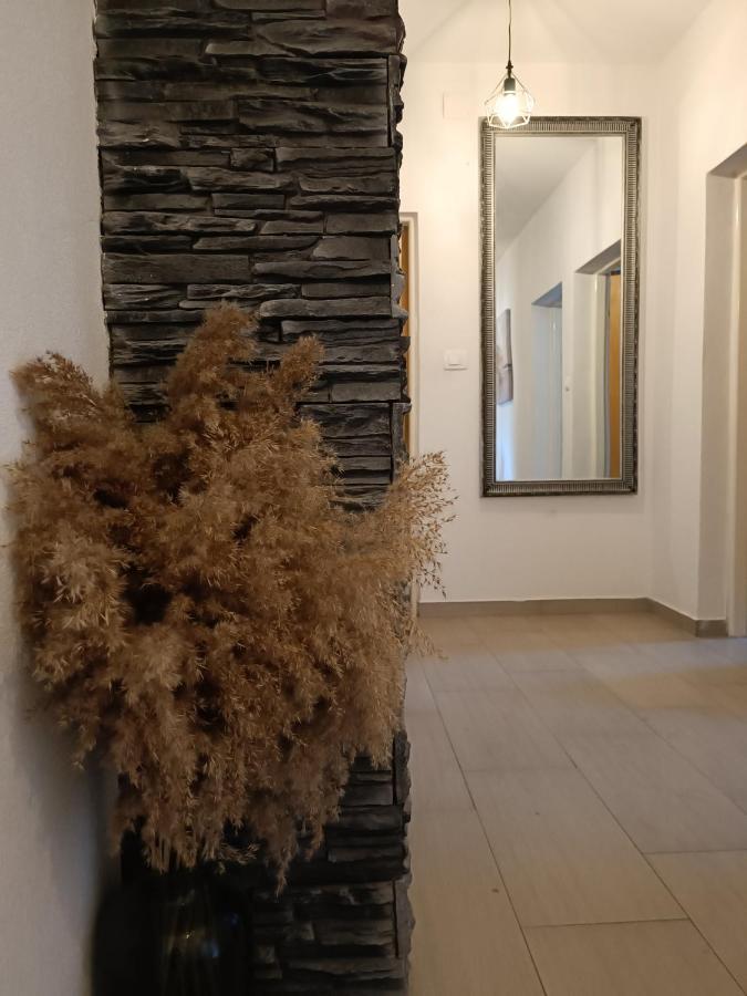 Appartement Apartman Brigita à Biograd Na Moru Extérieur photo