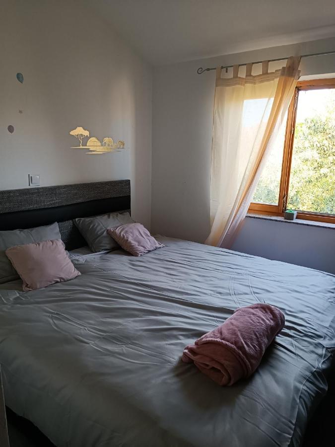Appartement Apartman Brigita à Biograd Na Moru Extérieur photo